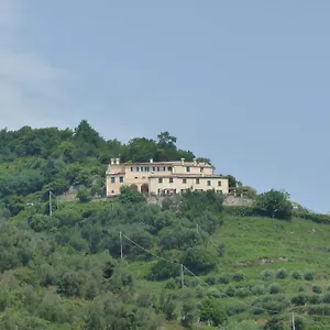 Tuvo Levanto
